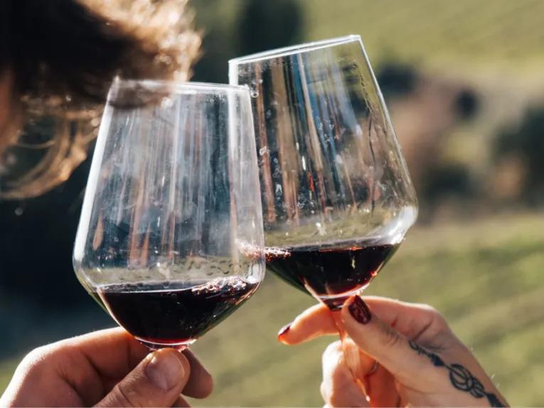 Chianti Tour: Wine Experience in Chianti Hills & Radda in Chianti from Florence