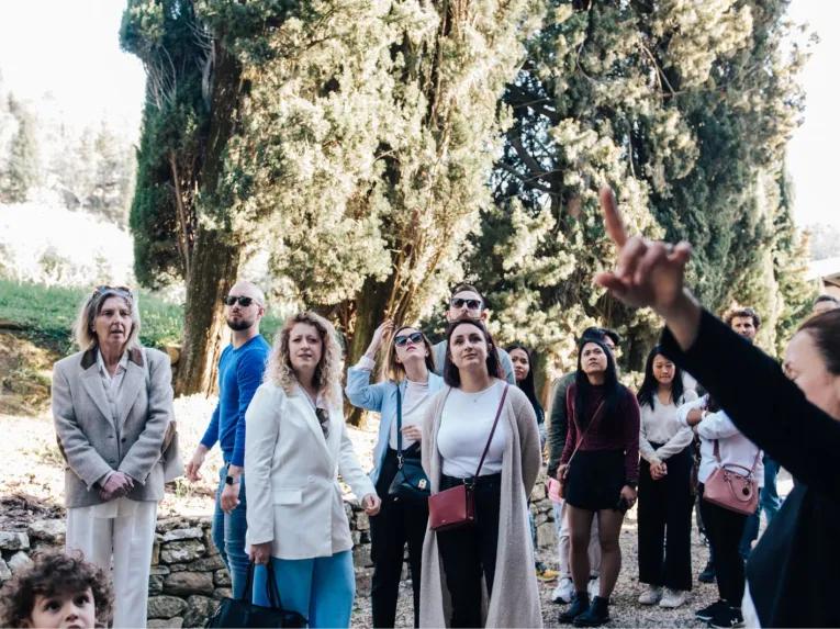 Chianti Tour: Wine Experience in Chianti Hills & Radda in Chianti from Florence