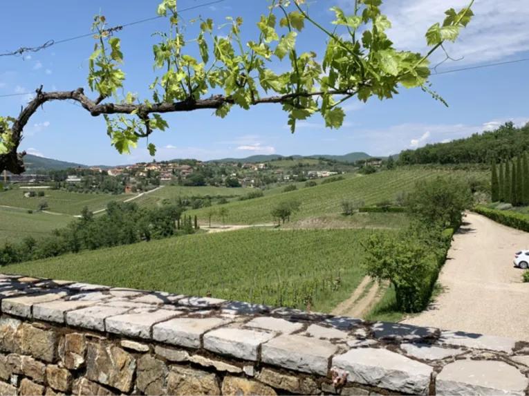 Chianti Tour: Wine Experience in Chianti Hills & Radda in Chianti from Florence