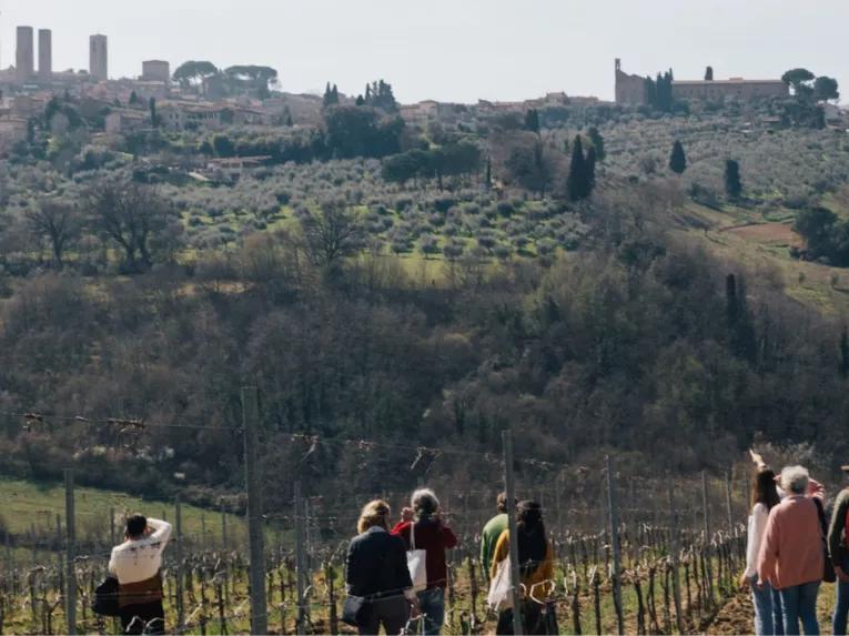 Tuscany Experience: Pisa, Siena, San Gimignano and Chianti from Florence