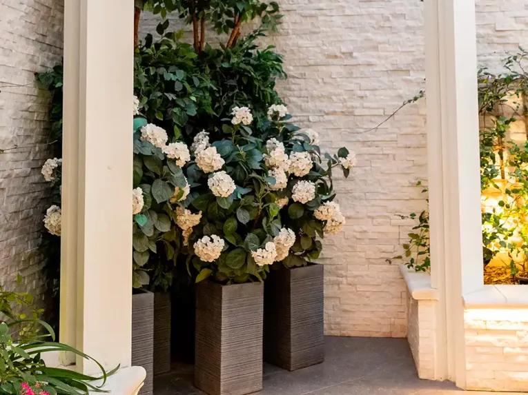 Rolls Royce Ultimate Bliss