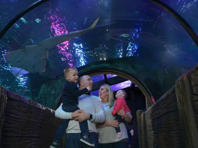 SEA LIFE Blackpool