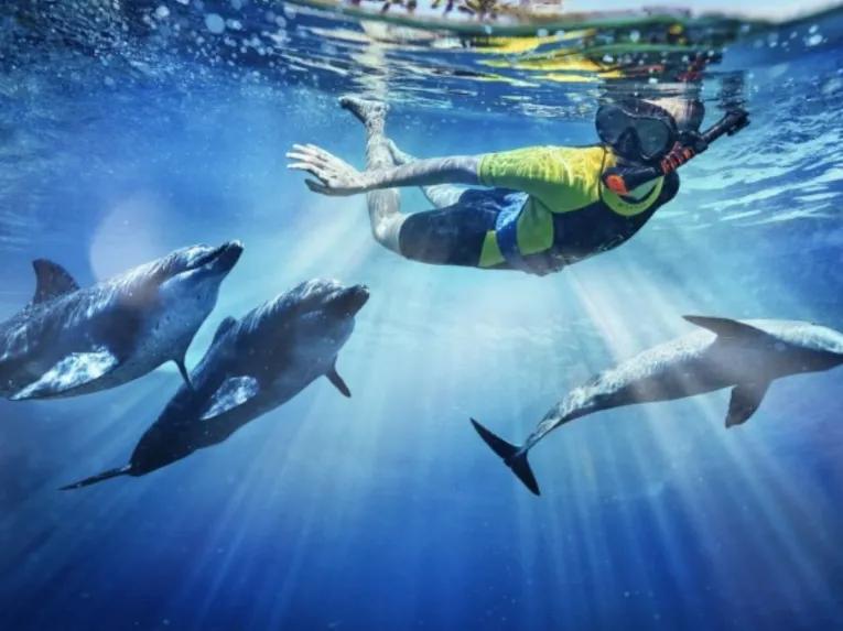 Dolphin-Experiences-at-AquaventureS-Atlas-Village