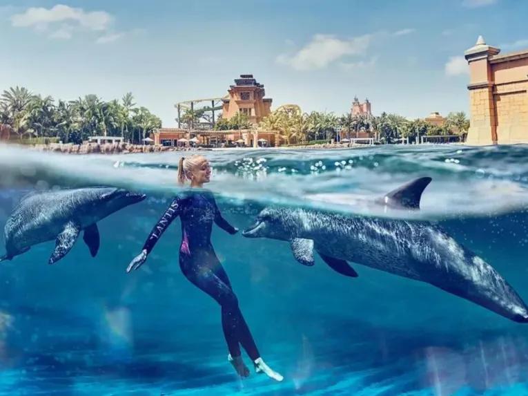 Dolphin-Swim-at-Atlantis-Dubai
