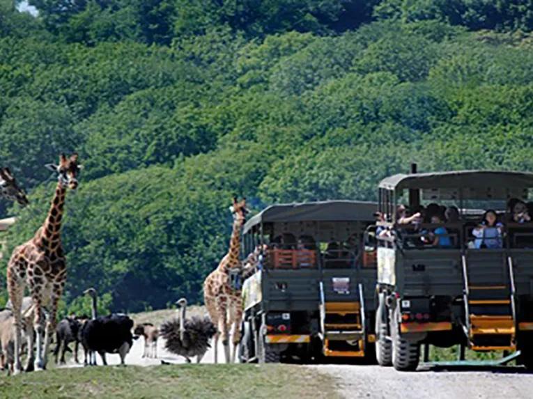 Port_Lympne_Safari