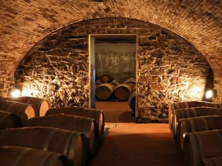 wine-cellar