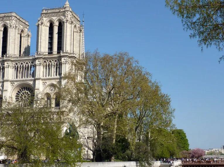 notre-dame