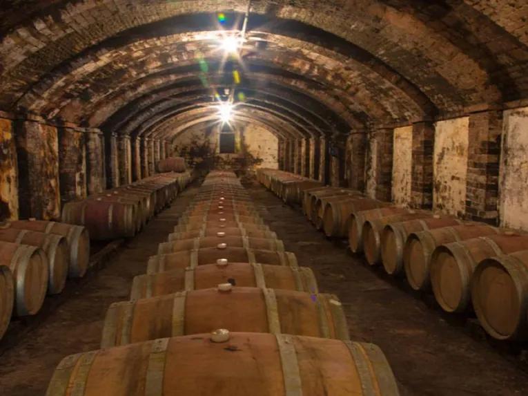 wine-cellar