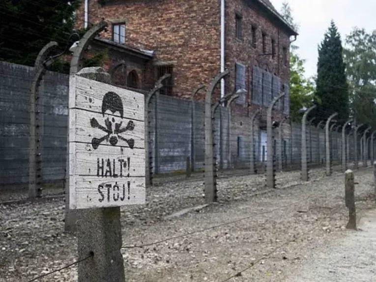 fencing-at-Auschwitz