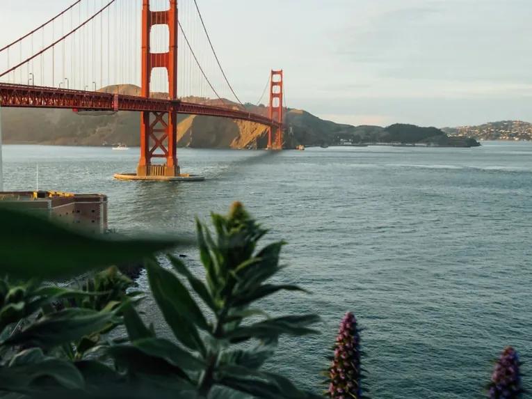 Bridge to Bridge Cruise