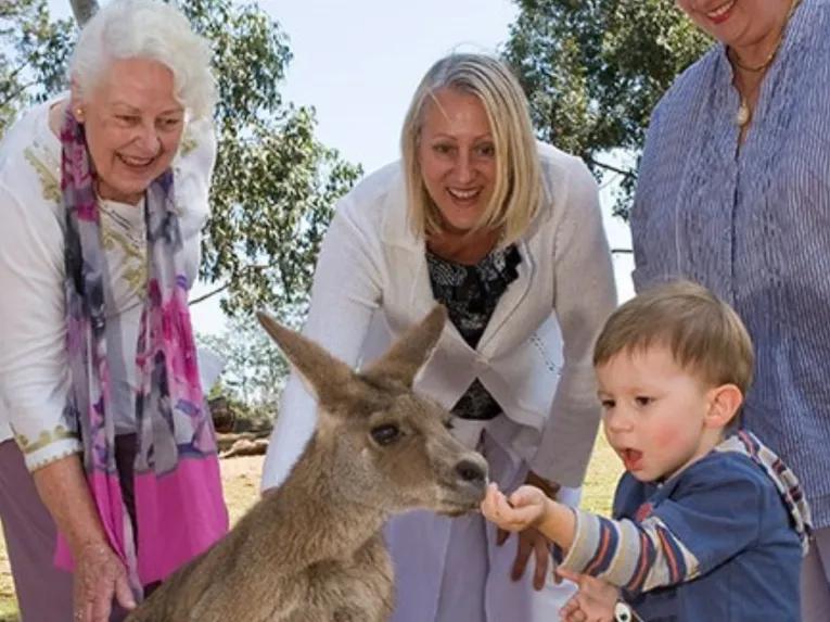Brisbane-River-Cruise-to-Lone-Pine-Koala-Sanctuary