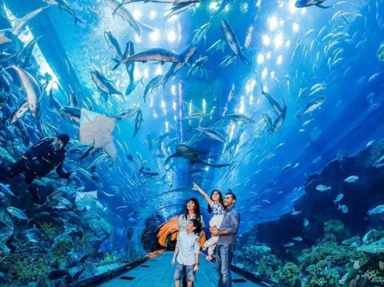 Go-City-Dubai-All-Inclusive Pass