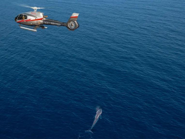 California Coastal Helicopter Tour