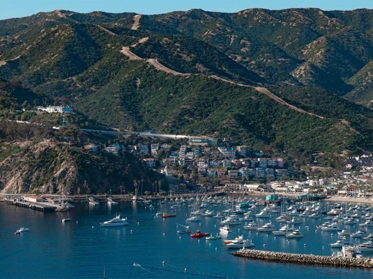 Catalina Explorer Helicopter Tour