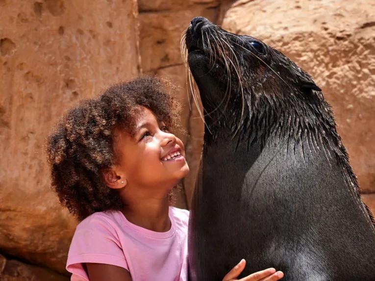 Sea Lion Meet & Greet at Atlantis Dubai