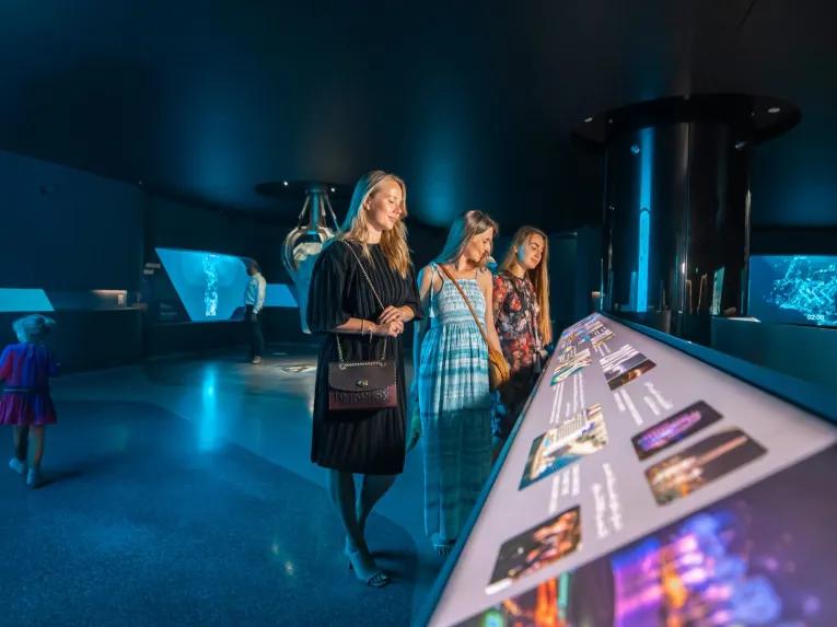 The View at The Palm