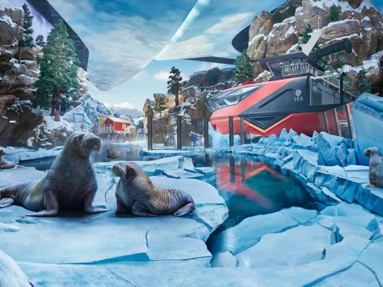 SeaWorld Yas Island Abu Dhabi