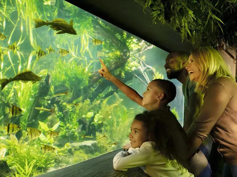 Explorer Pass - Sea Life London