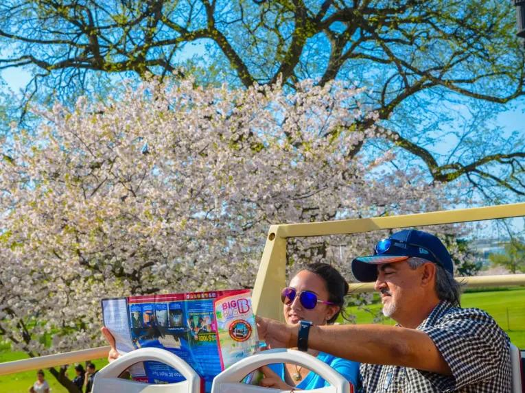 Big Bus Washington DC Hop-On Hop-Off Bus Tour 