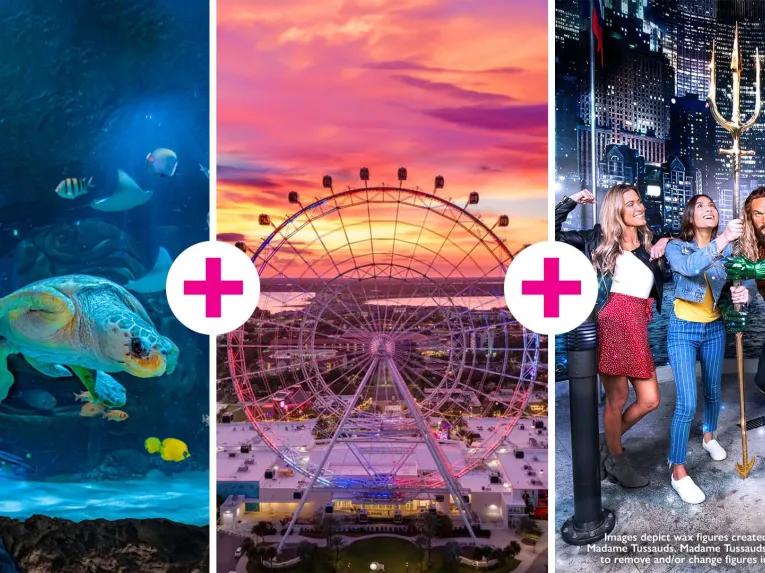 Orlando Eye, Madame Tussauds + SEA LIFE Combo Ticket