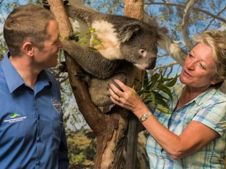 Blue Mountains - Hike The World Heritage