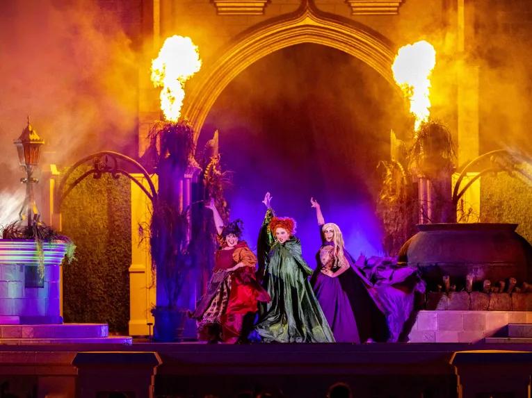 Hocus Pocus Villain Spelltacular, Mickey's Not-So-Scary Halloween Party