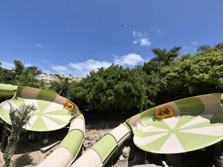 Trees lining two waterparks which run next to each other. Both loop round in the same direction and have 2 people in yellow double rings. The photo is perfectly timed with both in the same place on the two slides.  