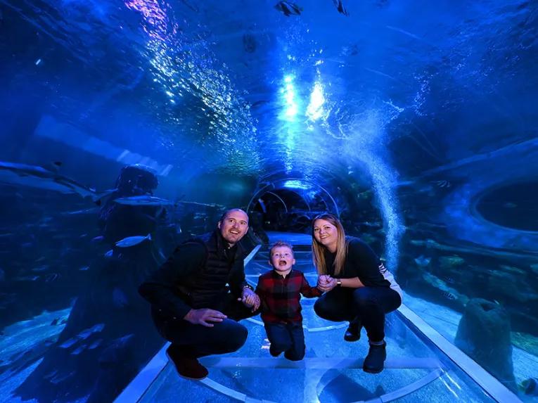 underwater-viewing-tunnel
