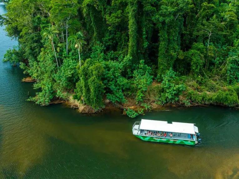 Mossman Gorge, Daintree and Wildlife Tour from Port Douglas 