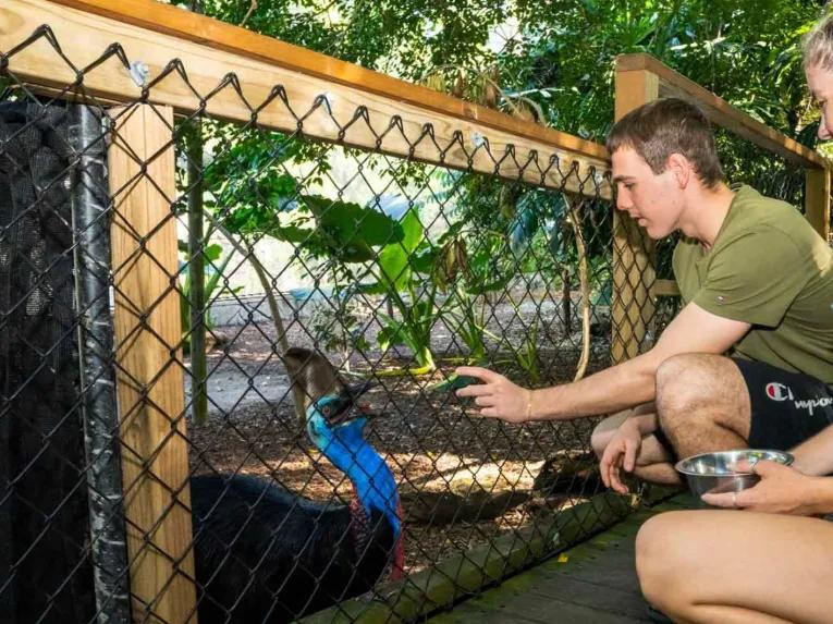 Mossman Gorge, Daintree and Wildlife Tour from Port Douglas 