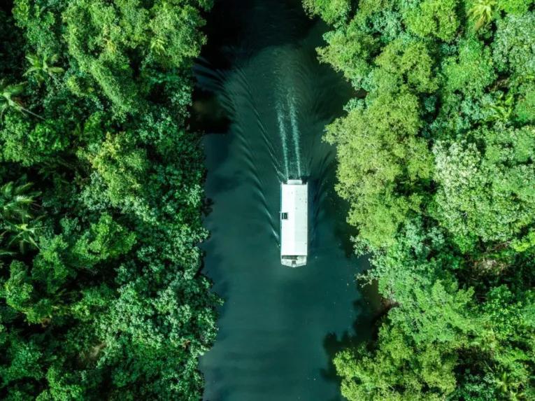 Mossman Gorge, Daintree and Wildlife Tour from Port Douglas 