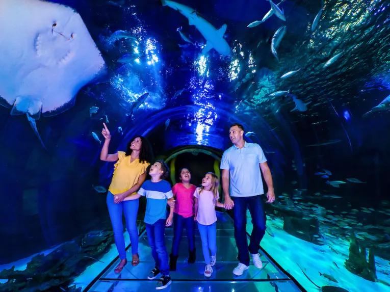 Family at the Sea Life Orlando Aquarium