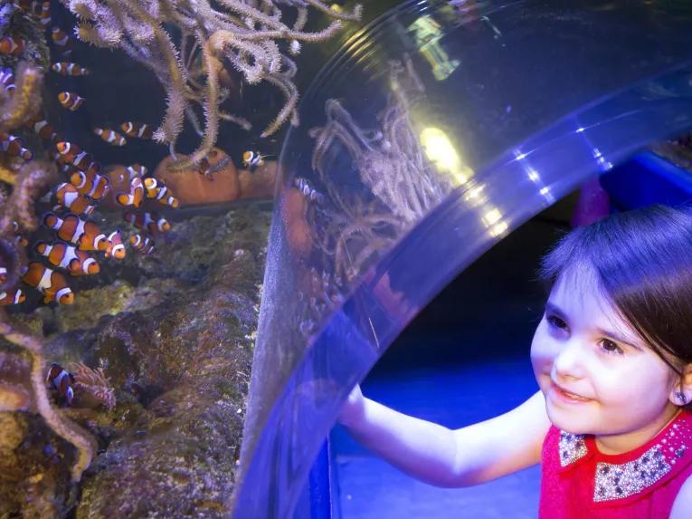 Sea Life Birmingham 