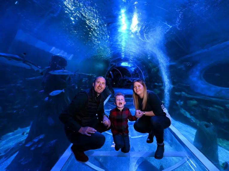 Sea Life Birmingham Tunnel