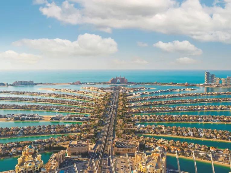 The View at The Palm