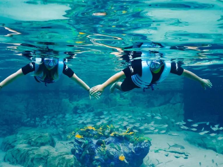 Guests snorkelling over the Grand Reef at Discovery Cove Orlando