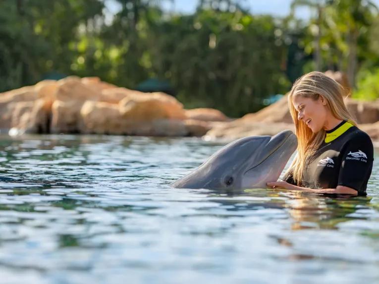 Guest interacting with Dolphin at Discovery Cove Orlando