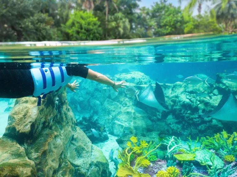 Grand Reef at Discovery Cove Orlando