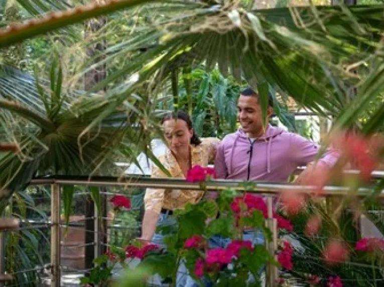 Bombay Sapphire Distillery Tour