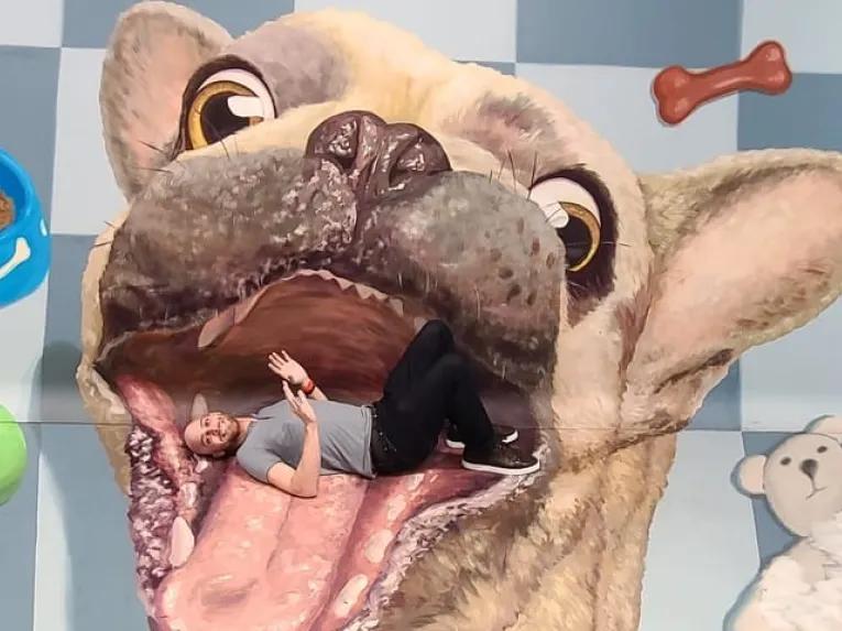 TiLT A Tracy Lee Stum Museum