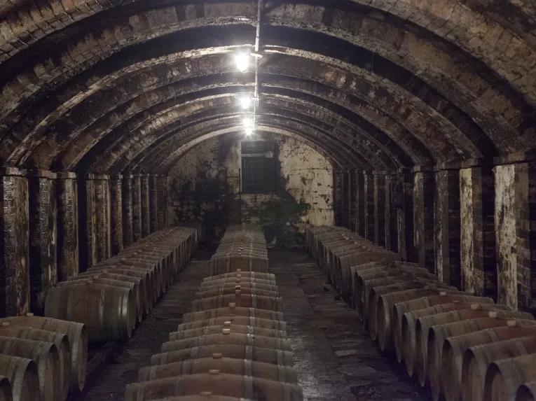 Semi Private Chianti Wine Tour with Wineries