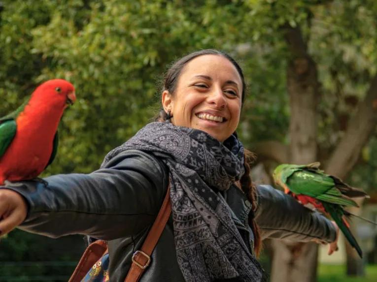  Great Ocean Road Day Tour