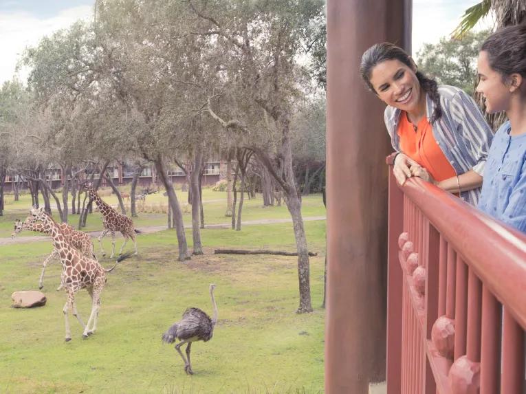 Disney's Animal Kingdom Villas Kidani Village Savanna View Room