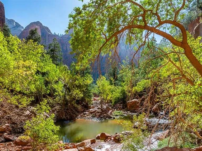 Zion National Park Tour