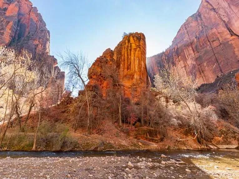 Zion National Park Tour