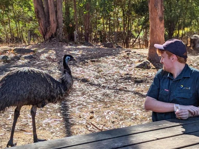 A man sits on a bench, smiling warmly, while an emu casually strolls past in the background