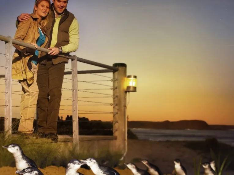 Smiling couple watching penguins at the beach during the Phillip Island Express Tour