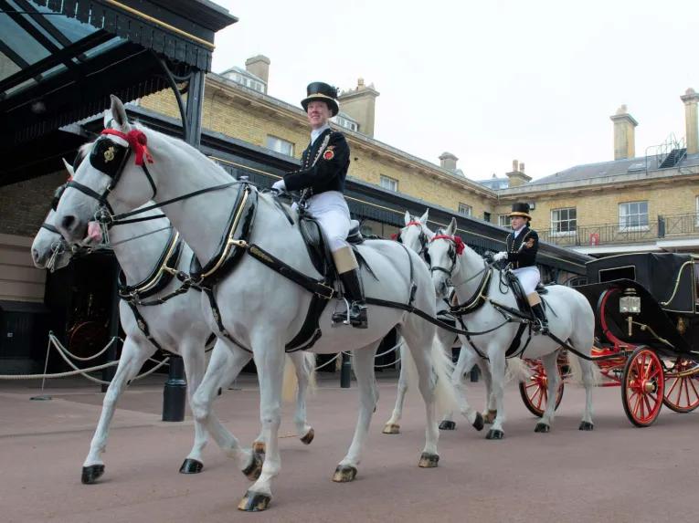 London Royal Mews at Buckingham Palace 