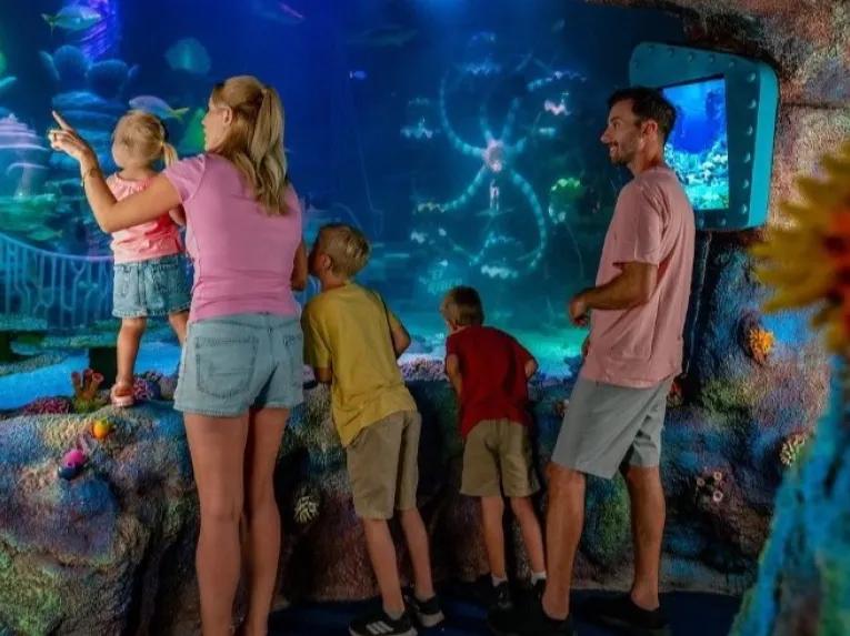 SEA LIFE centre new for 2025!