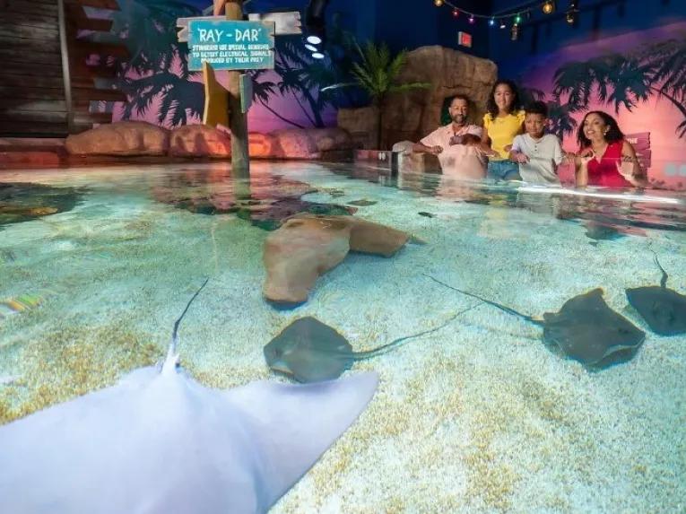 SEA LIFE centre new for 2025!